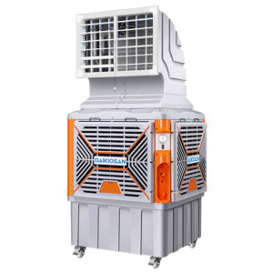dm307-1-huong-hong-gio-dm301